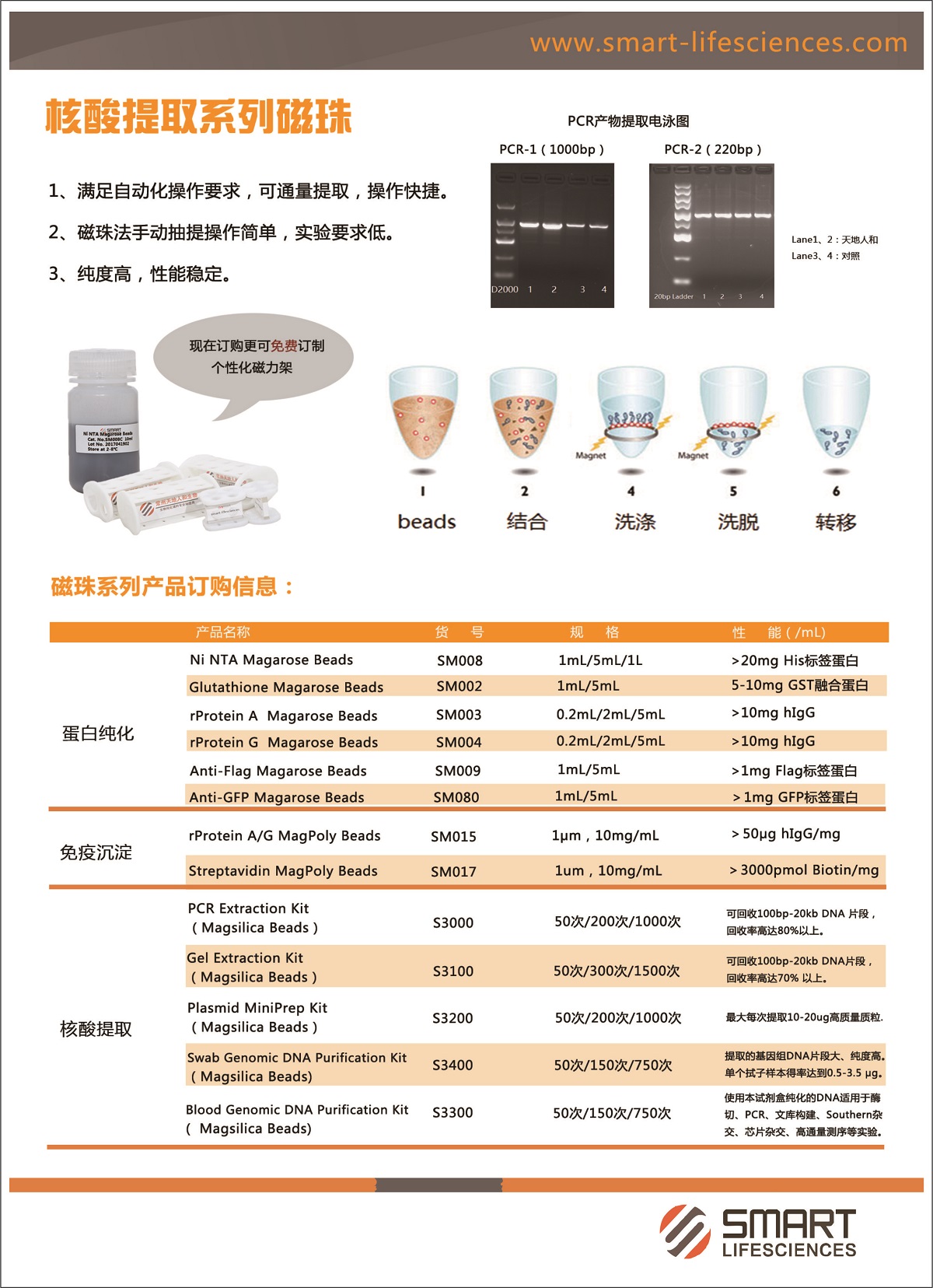 蛋白纯化-磁珠 手机.jpg