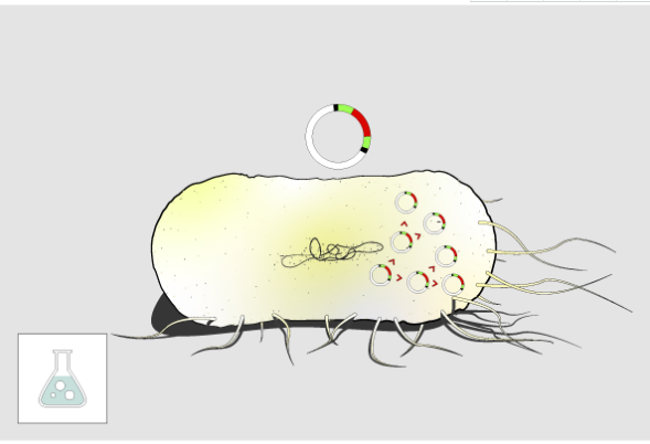 pir2化转克隆感受态 - 广州方源生物科技有限公司,bi